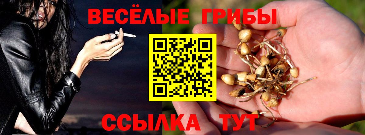 Псилоцибиновые грибы ЛСД Камышин
